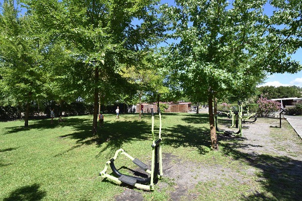 /campings/francia/aquitania/landas/Sanguinet Plage/camping-les-grands-pins-sanguinet-1511366826-xl.jpg